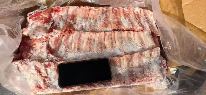 母猪寸排