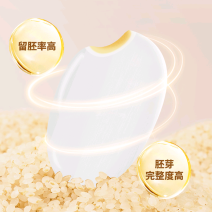 东北胚芽米