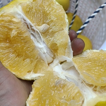 葡萄柚，琯溪蜜柚
