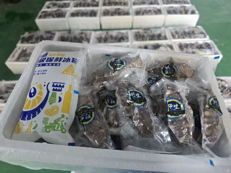 威海即食海参