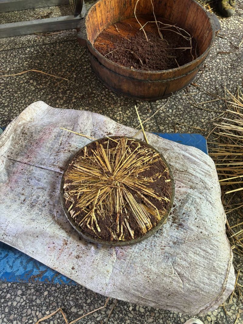 炎陵野生山茶油