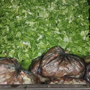 每天4-5吨左右，生菜+羽衣甘蓝+洋葱+其他蔬菜等下脚料