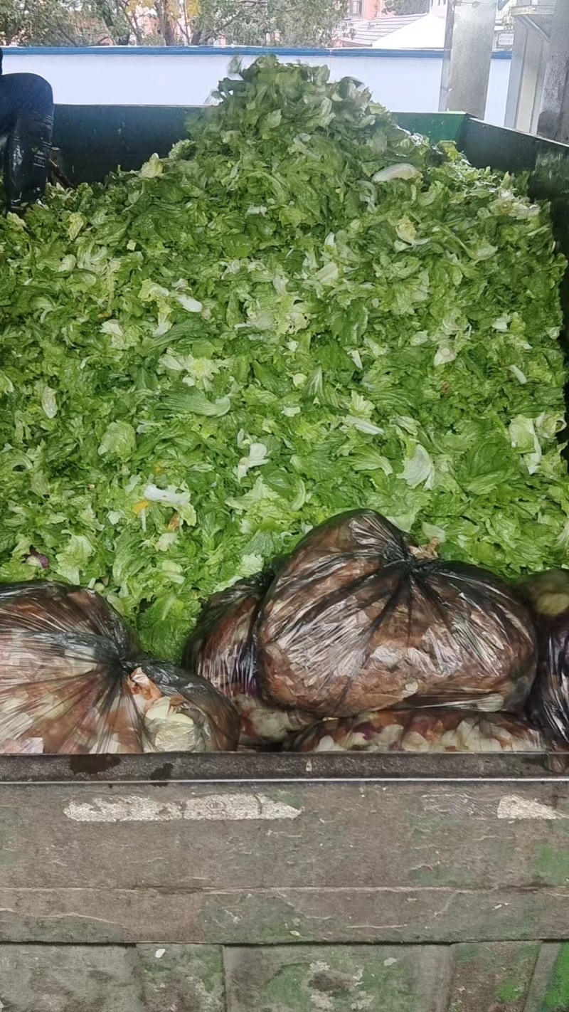 每天4-5吨左右，生菜+羽衣甘蓝+洋葱+其他蔬菜等下脚料