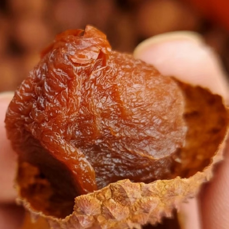 荔枝干果面金黄果面干净