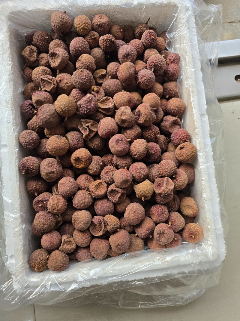 荔枝干果面金黄果面干净