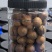 夏威夷果厂家直销，专业电商一件代发、商超批发拿货，欢迎实地考