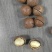 夏威夷果厂家直销，专业电商一件代发、商超批发拿货，欢迎实地考