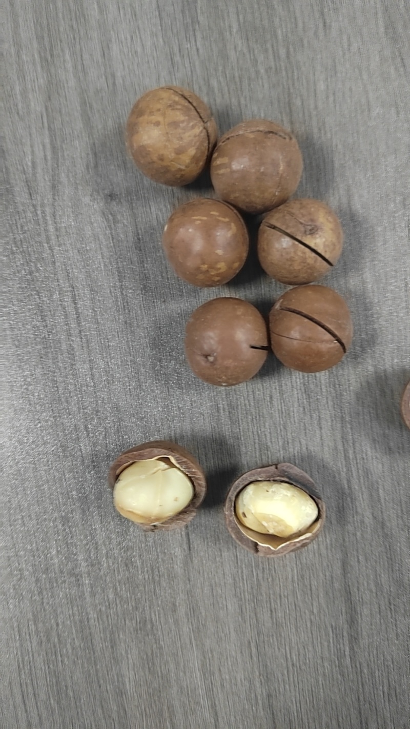 夏威夷果厂家直销，专业电商一件代发、商超批发拿货，欢迎实地考