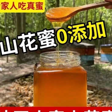 野生蜂蜜