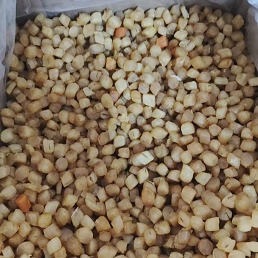长海县瑶贝柱，规格600-800粒/斤，盐度低，干度好。