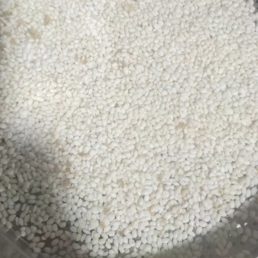 黑龙江省佳木斯市红河农场出售粘水稻450吨左右变白80。