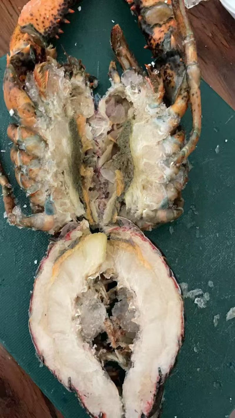 波士顿大龙虾🦞，商超，餐饮，电商