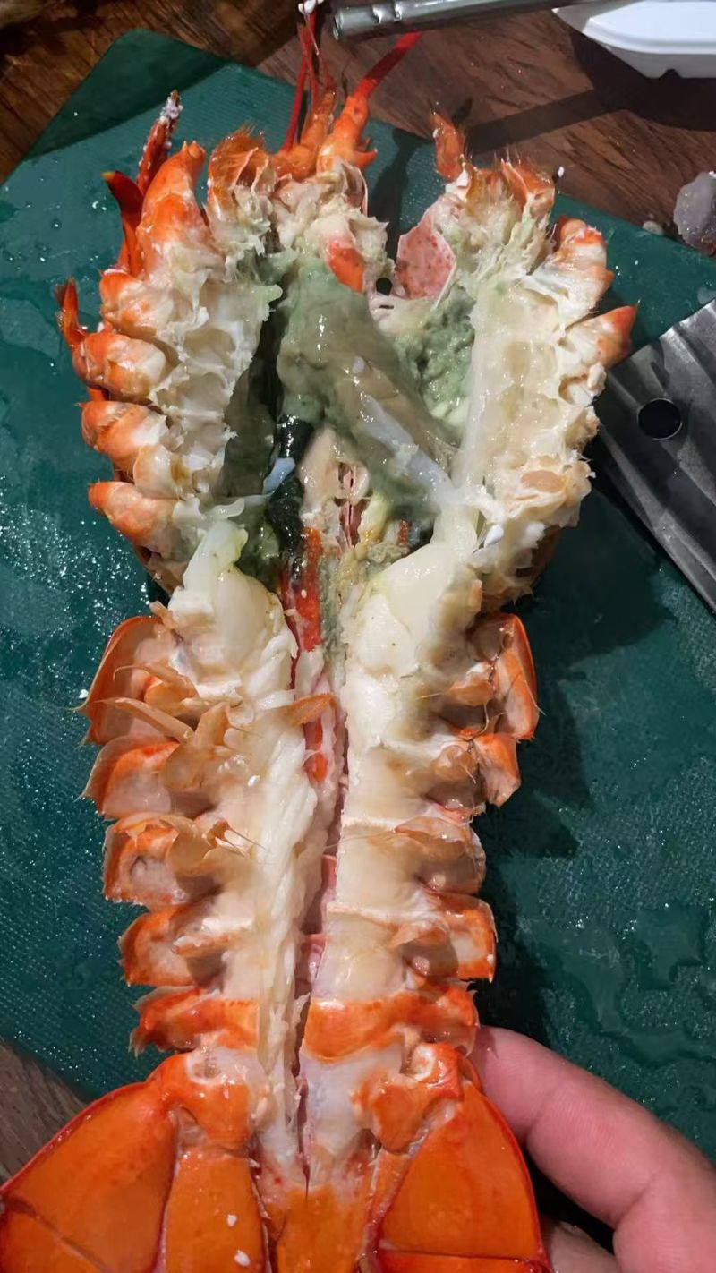 波士顿大龙虾🦞，商超，餐饮，电商
