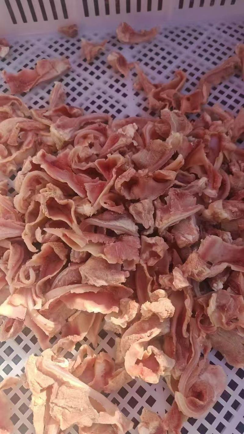 羊脆骨