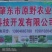 食叶草种子