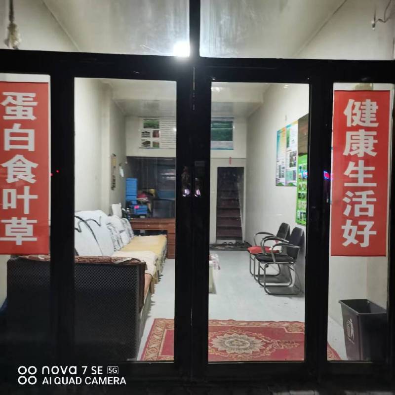 食叶草种子
