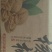 香铃核桃