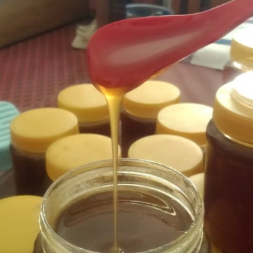 高上土蜂蜜
