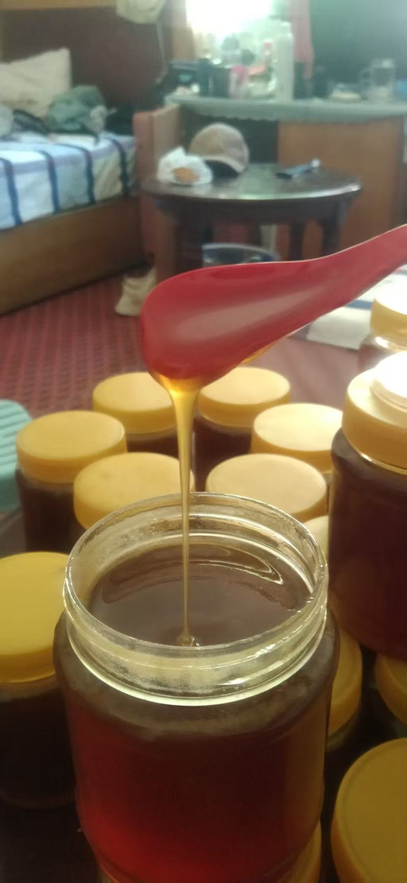 高上土蜂蜜