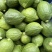 广东香水柠檬原产地现摘现发