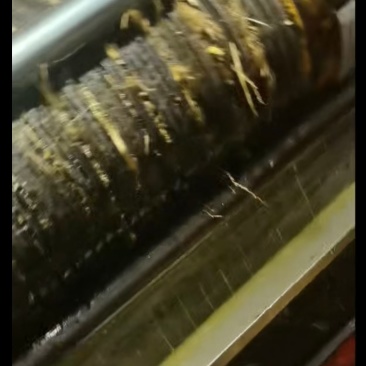 正宗山茶油