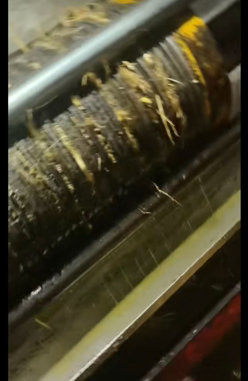 正宗山茶油