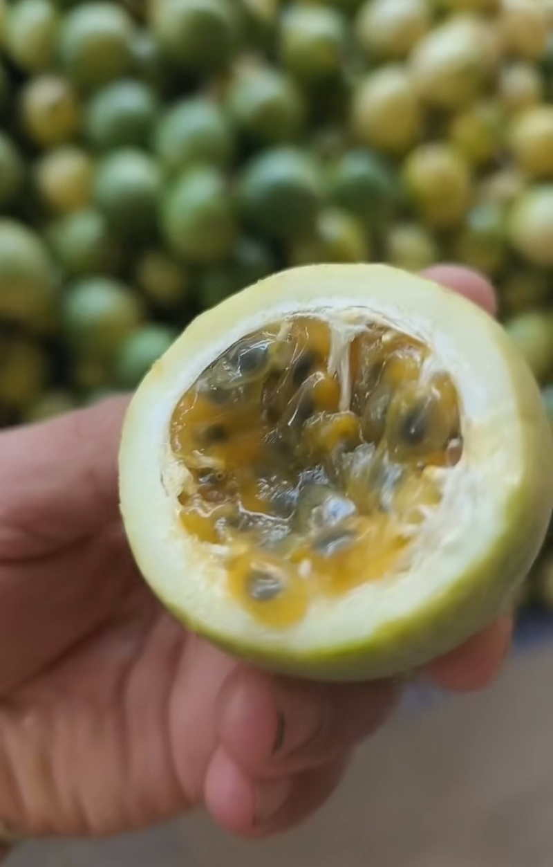 西双版纳特产