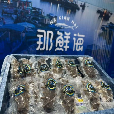 威海即食海参