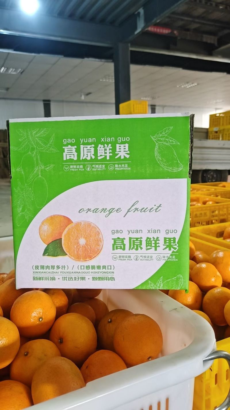 云南元江沃柑一件代发欢迎来对接