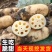 山东省菏泽市曹县万亩荷塘莲藕基地种植示范，莲藕品质优良