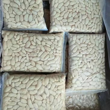 鸡腰子鸡肾大中小规格齐全