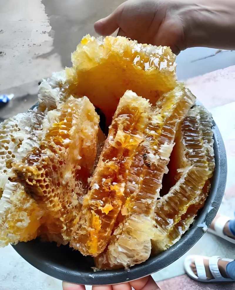 土蜂蜜