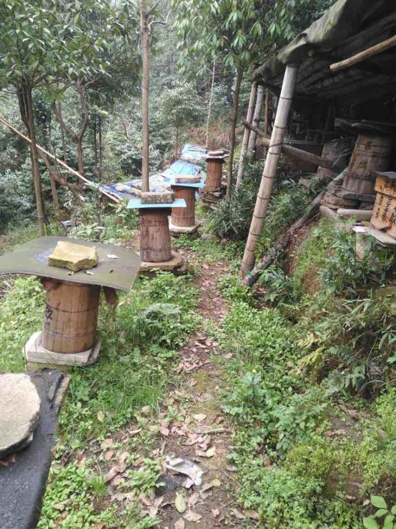 土蜂蜜