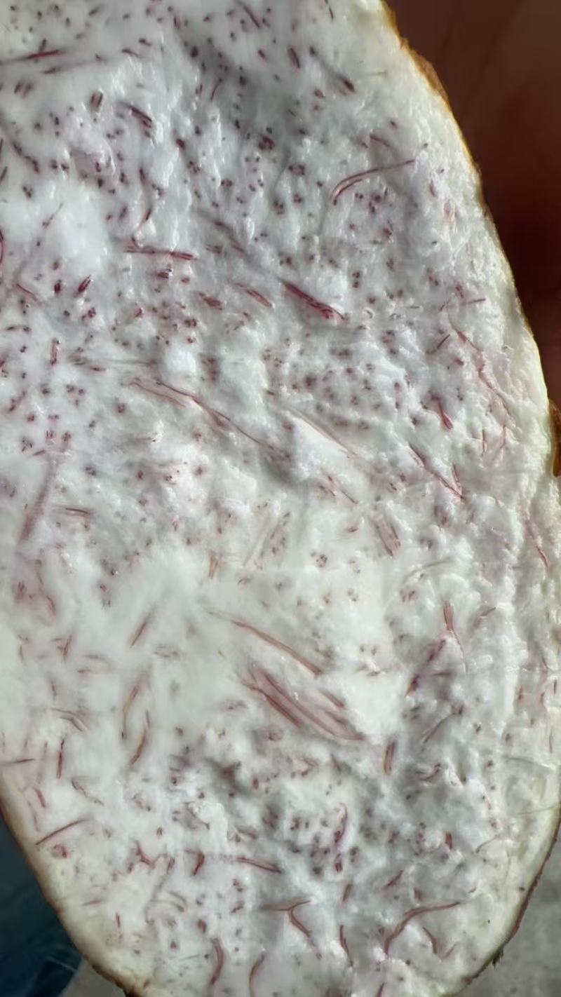 香芋