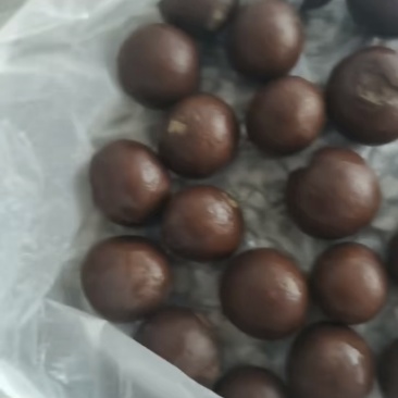 羊宝