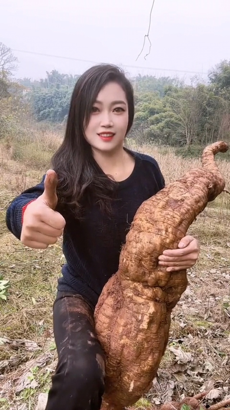 现挖深山野生新鲜粉葛