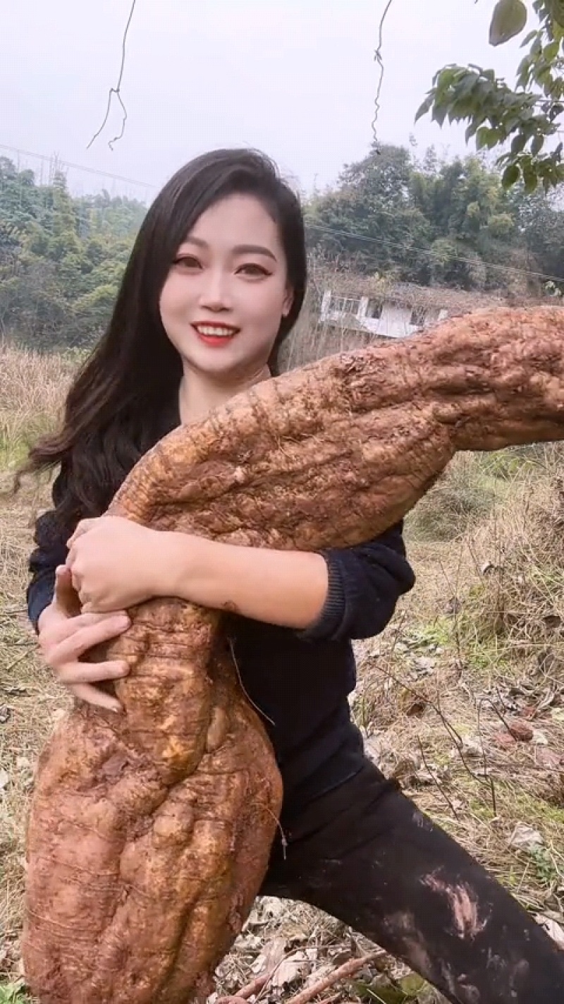 现挖深山野生新鲜粉葛