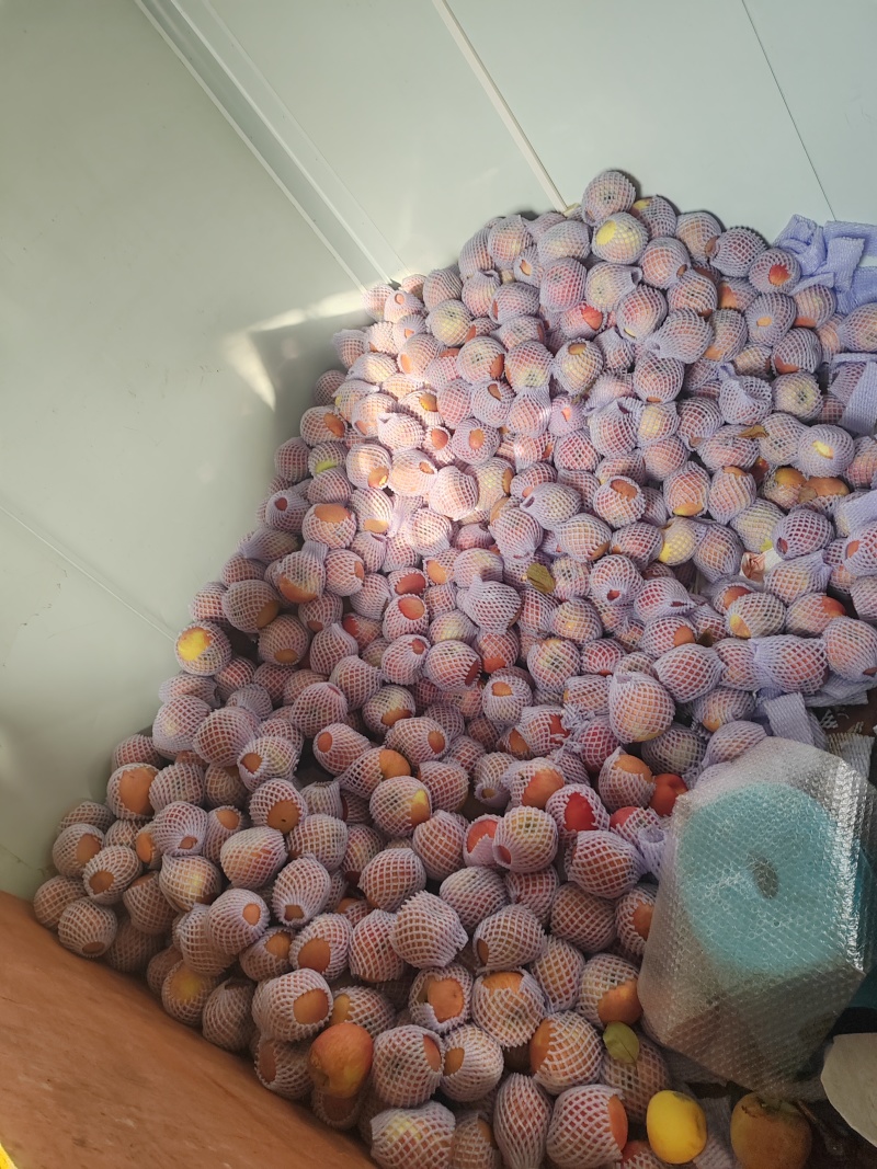 阿克苏红富士冰糖心苹果