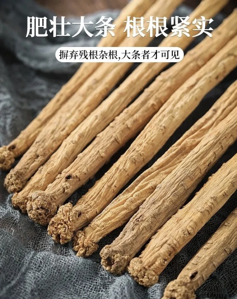 甘肃本土中药材