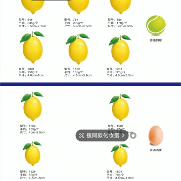 柠檬
