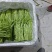云南省曲靖芦蒿