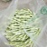 白芸豆