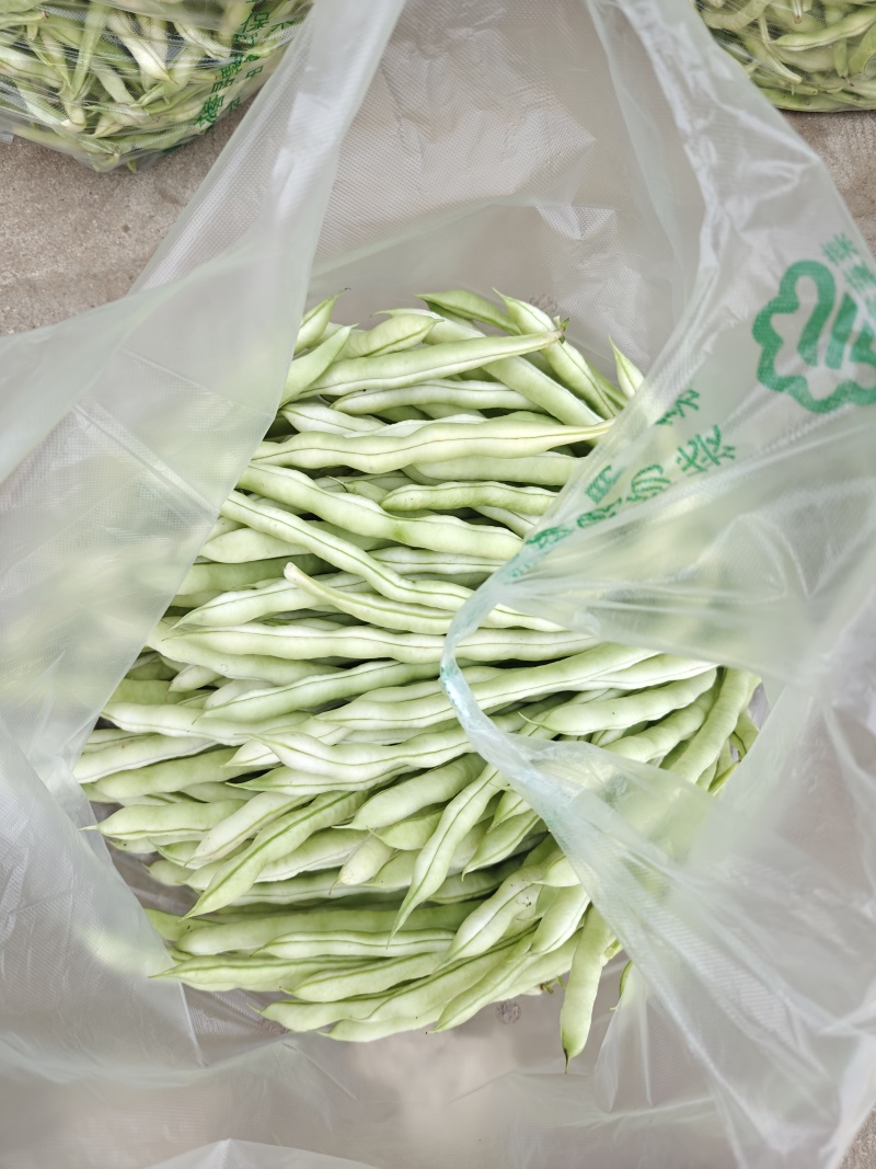 白芸豆