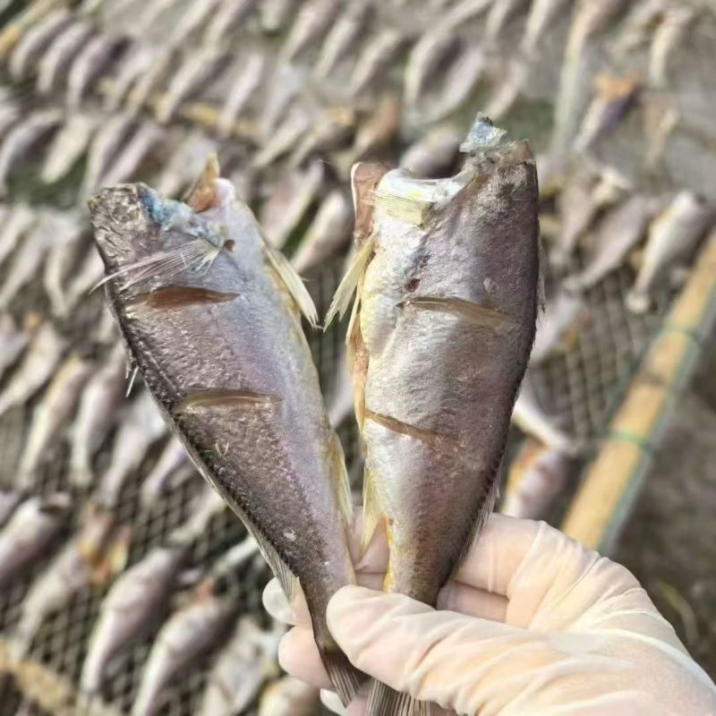 松门黄鱼干，大海馈礼，一条250g左右