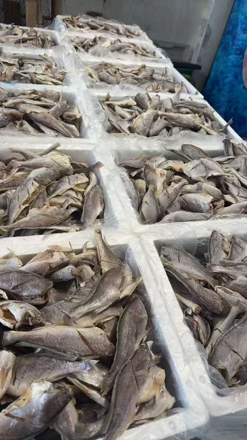 松门黄鱼干，大海馈礼，一条250g左右