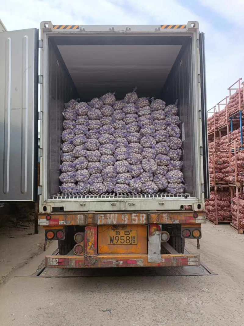 金乡大蒜产地直批，品质上乘，整车/散货均可接单，价格实惠