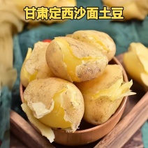 定西土豆