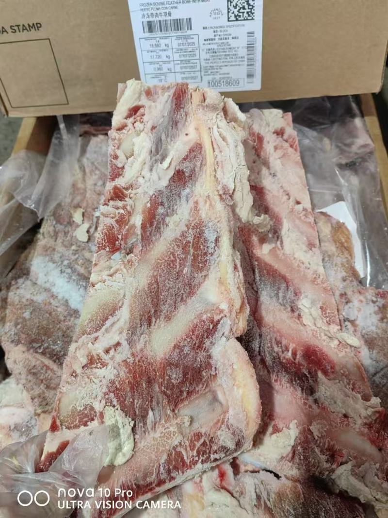 进口牛羽骨