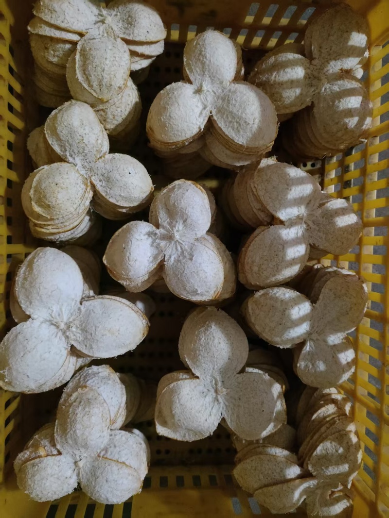 广西陈皮大红皮