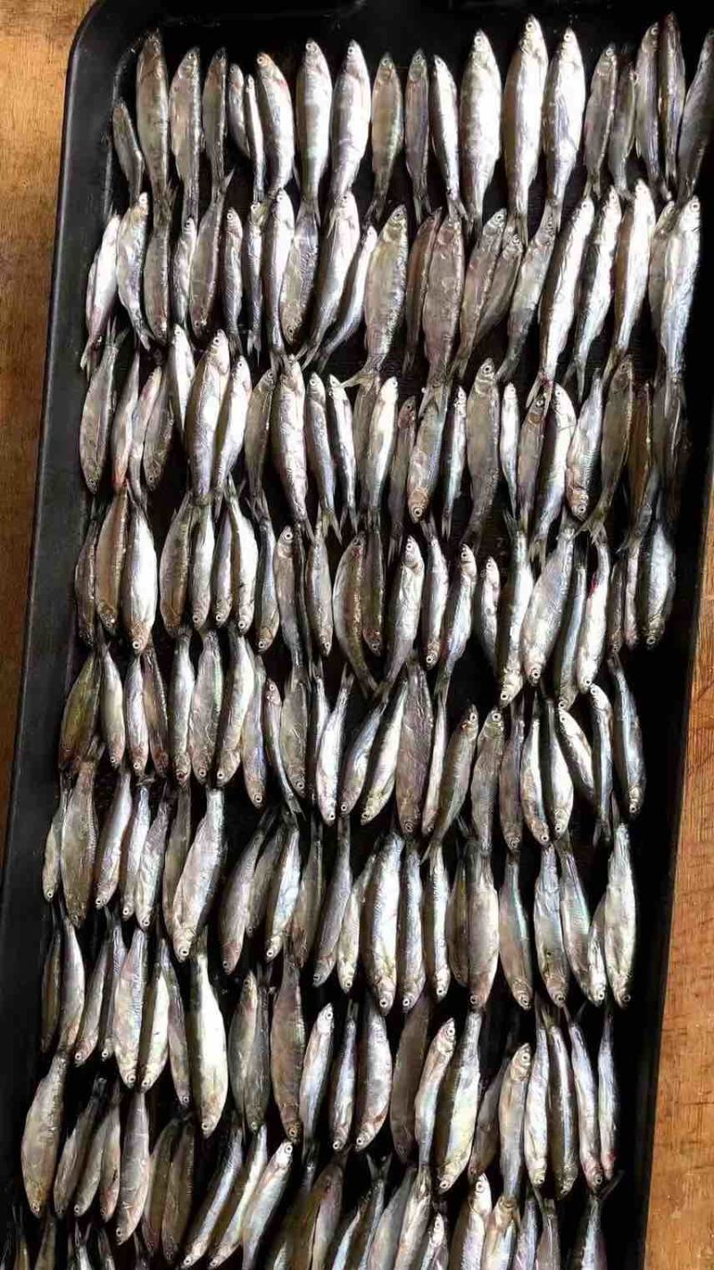 炸小河鱼